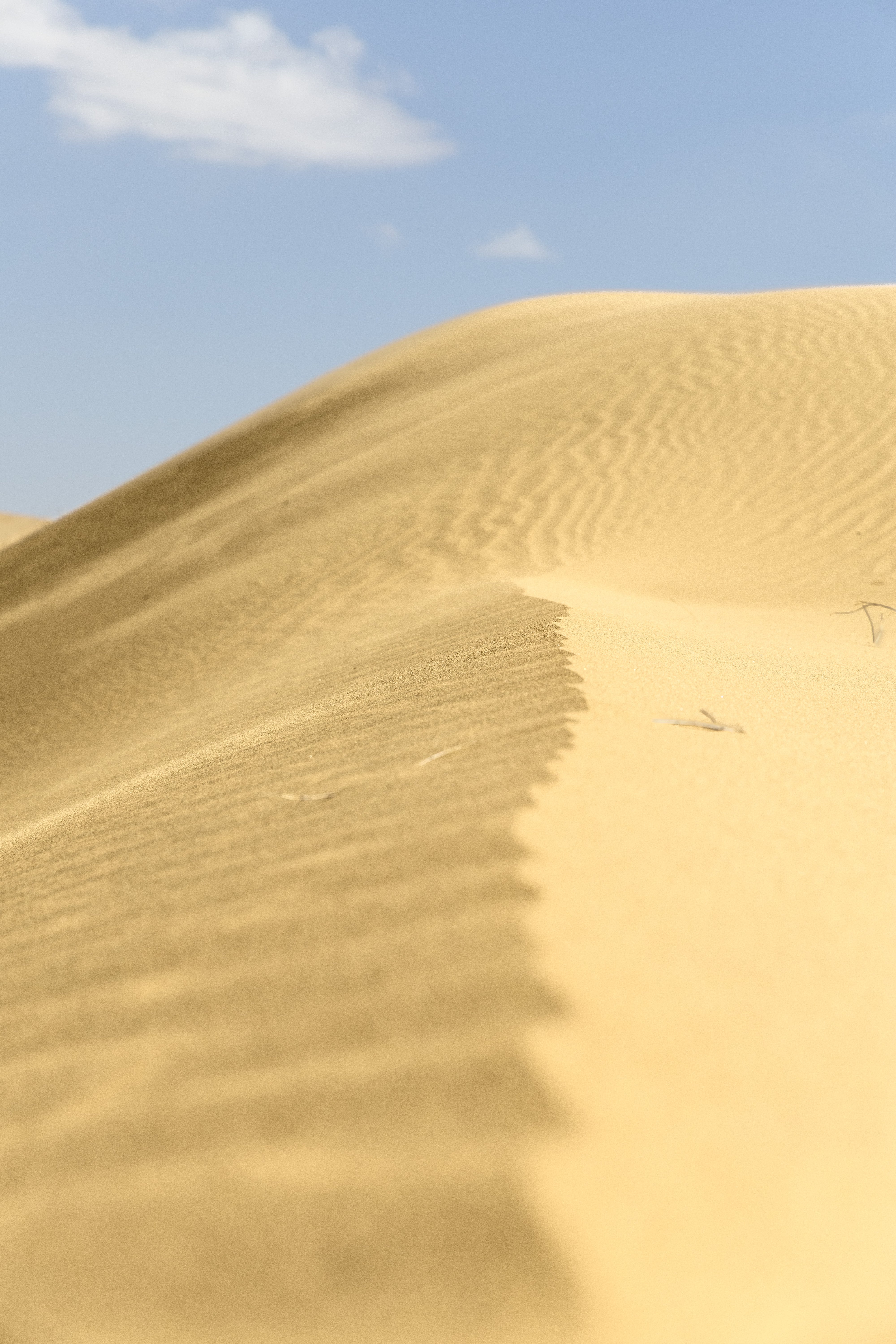 风雕刻了沙丘的形状

甚至吹过登山杖的限位孔，在空腔中共振，像是吹奏一支笛
