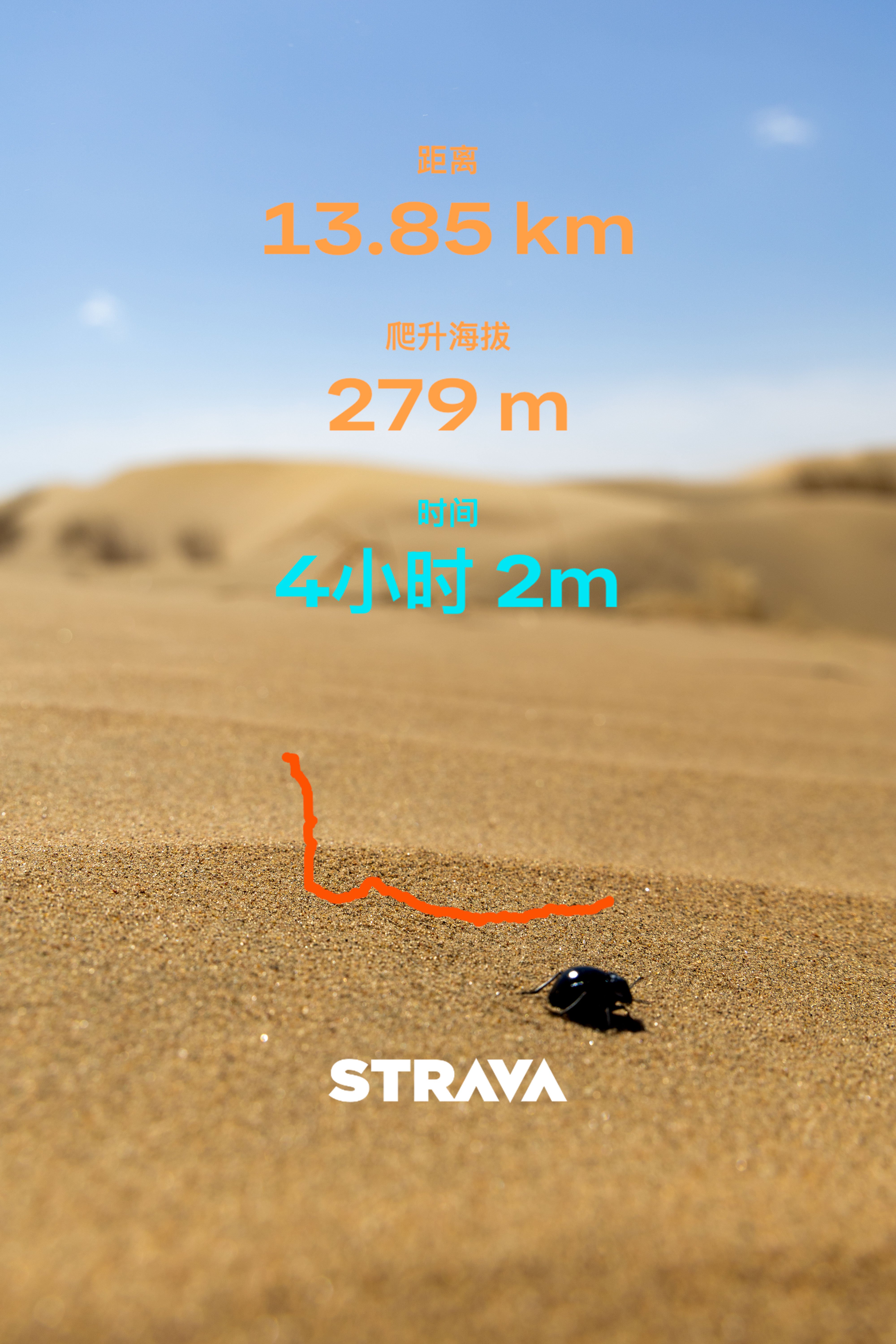 2026年4月5日
包头
库布齐沙漠
